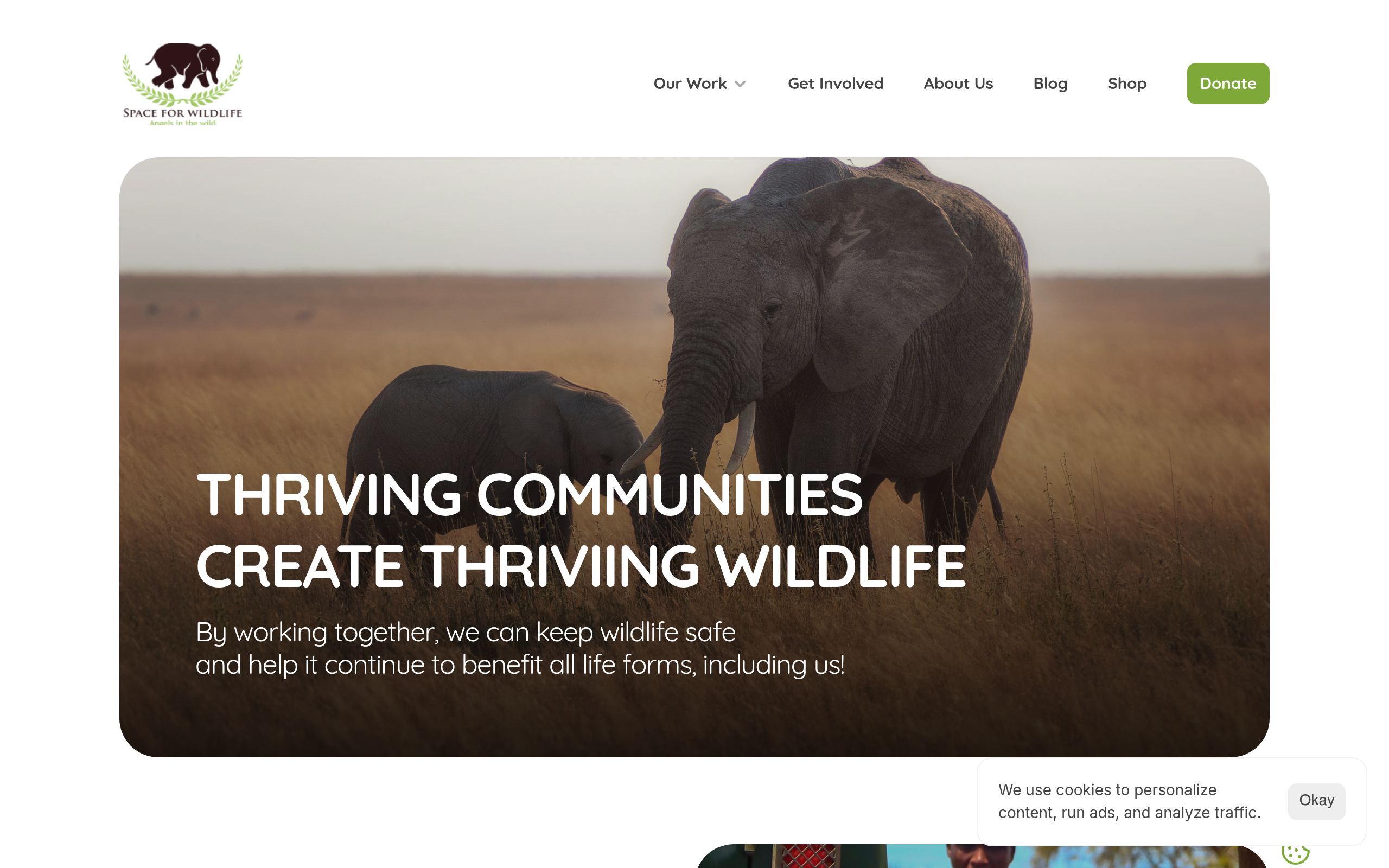 Space for Wildlife live site preview